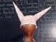 bonnet-ane