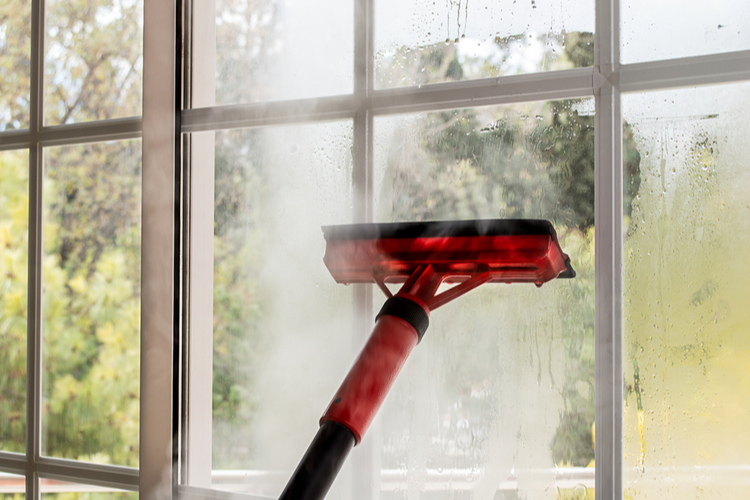 nettoyeur-vapeur-vitres