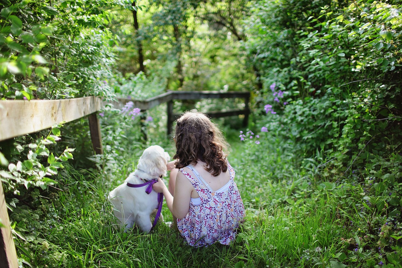 prendre soin d'un chien