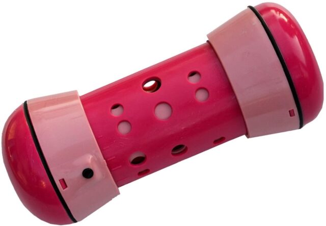 distributeur automatique de croquettes pour chat