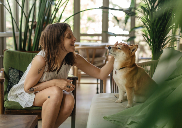 adopter animal de compagnie