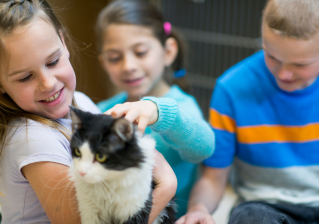 animaux de compagnie et enfants